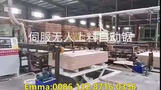 Servo Automatic High Precision Feeding Plywood Edge Cutting Saw. Four Sides D.D Saw