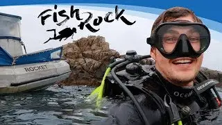 Fish Rock Scuba Diving: South West Rocks, NSW Australia - Exploring an Underwater Cave!