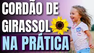 Como funciona o cordão de girassol NA PRÁTICA
