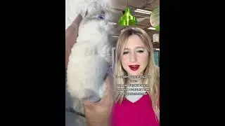 Со мной всегда так 😅 #переписка #рекомендации #parati #funny #funil