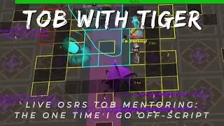 Learn ToB with Tiger: Live OSRS Team Mentoring & Raids After One-Year Sabbatical