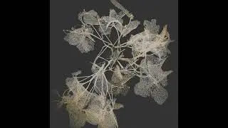 Tropic Noir - In&eacute;rcia