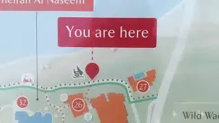Summer Salt Dubai