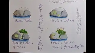 NATURE JOURNAL April Showers, Exploring a Micro-habitat, More about Moss and Monocots