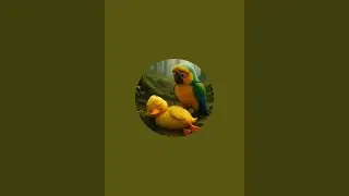 AI Ka cmal is live!