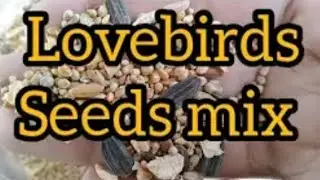 LOVEBIRDS WINTER SEED MIX | LOVEBIRDS BREEDING SEASON | VIDEO ACCHI LAGI TO SUBSCRIBE 🔔 KARE 
