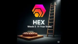 Hex Lunch Money Stake Challenge - 11 Year Stake - (Week 5 of 15)