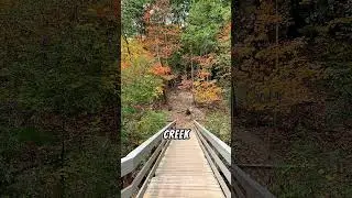 Explore Toronto Ontario | Top Walking Biking Trail | Taylor Creek Park | Living In Toronto #toronto