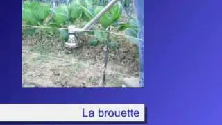 D&eacute;sherbage thermique Biomega avec Jaulent.wmv