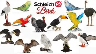Schleich Birds | 18 Birds | My Schleich Bird Collection | Animal Collection | Schleich 2020 and More