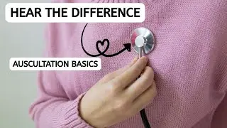 Breath Sounds Explained 🩺🎧 #education #educational #lecture
