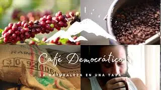 Caf&eacute; Democr&aacute;tico