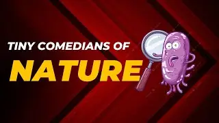 Funny Microbes: The Tiny Comedians of Nature! | Hilarious & Weird Microbial Facts