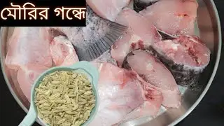 মৌরি কাতলা রেসিপি | ঘরোয়া স্বাদে কাতলা মাছের ঝোল 😋| Mouri Katla Recipe