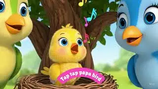 Bird Family Song 🐦 | Fun Nursery Rhyme for Kids | Learn About Birds!