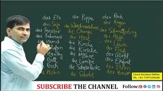 German Definite Articles der, die and das with Video