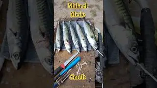 Makrel 25 aug pr&oslash;vestenen Mede Makreller, 25 August Pr&oslash;vestenen -2 #fishing #floatfishing
