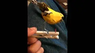 Finished - bird hunting worm automaton