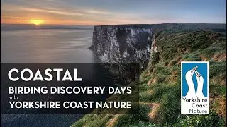 Yorkshire Coast Nature - Coastal Birding Discovery Days