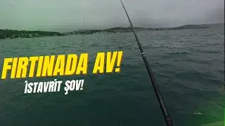 İstanbul Boğazında Balık Avı: Beykoz Çubuklu'da Fırtınada Çapari ile İstavrit!