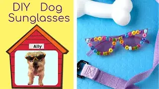 DIY Dog Sunglasses