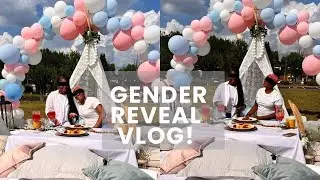 Buffins Gender Reveal || Baby #2
