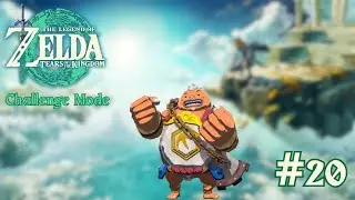 VOD - FINITO LES GIBDOS, BONJOUR LES GORONS ! - Zelda TOTK Challenge Mode #20