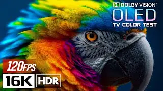 Ultimate 16K HDR Video 120 FPS | Dolby Vision OLED Test Demo