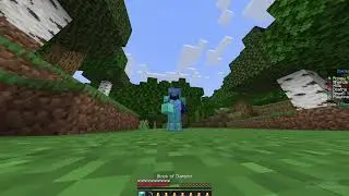 EASY Donut SMP Dupe Glitch! (UNPATCHED 2026)