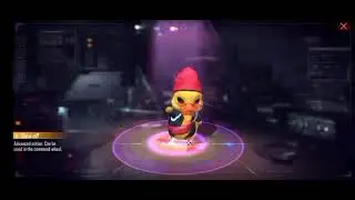 NEW PET DR. BEANIE
