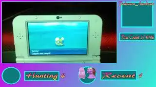Shiny Hunting on 3ds