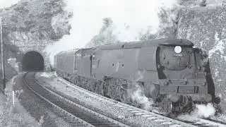 Combe Rail Wifi point 3 Slade tunnel