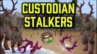 NEW Custodian Stalkers Slaying Guide | Antler Guard, Alchemist Signet and Broken Antlers!