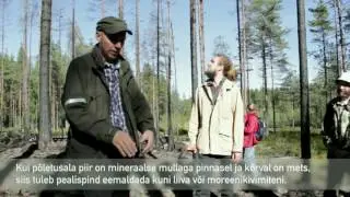 Soome, kus metsi 2002. aastast sihilikult p&otilde;letatud. *Maaleht