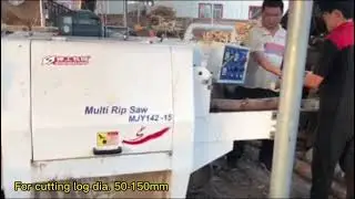 Shengong multi rip saw machine for sale