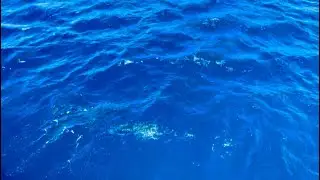 Soaring Above the Ocean Stock Video | Choppy Seas and Water Lapping Sound Effects | ROYALTY FREE