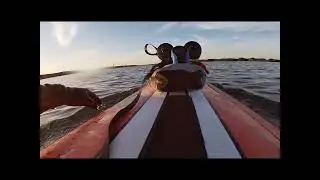 Prone paddle boarding Salt Run Florida