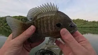 (Part 2) UNCUT Kayak Fishing in an Iowa Lake!