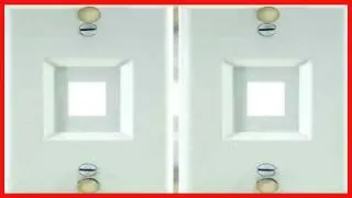 Economy Wall Plate Durable and Affordable Solution for VOIP Phone Installations