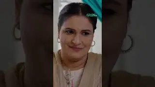 Sheikh Chilli #shorts #shortsfeed #humnava #pakistanidrama #greentv