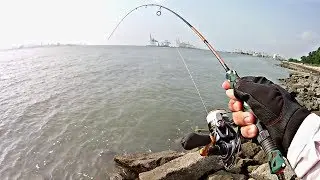 LANDBASED CASTING KERAPU Pelantar Shell Bagan | Ultralight Fishing