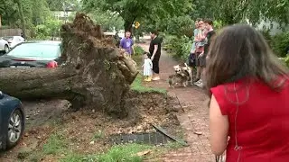 Tree calls onto 13th St. Southeast as severe weather hits DC