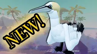 NEW Gannet Added to Feather Family!!