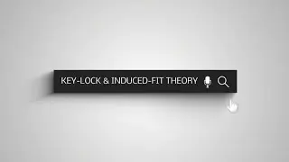 THE KEY-LOCK THEORY AND THE INDUCED-FIT MODEL #biochemistry 