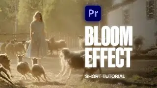 Как добавить эффект Film BLOOM в Premiere Pro