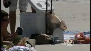 Beach Patrol: Keep 4th Of July Fun Safe