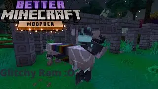 Better minecraft EP 24 l GLITCHY QUESTING RAM!!