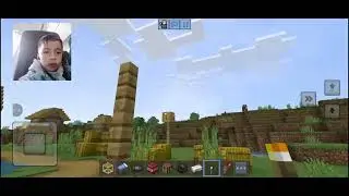 Jugando minecraft