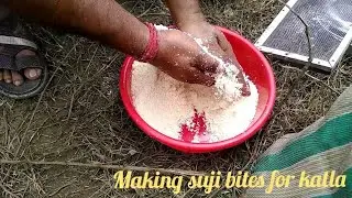 Making Suji baits for Katla||inchura west bengal|| indjia