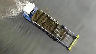 СМИ о нас. Минск-новости. Водоросли в Минских водоемах начали косить
